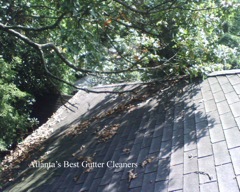 Acworth's Best Gutter Cleaners does tree pruning of limbs coming in range of the gutters.